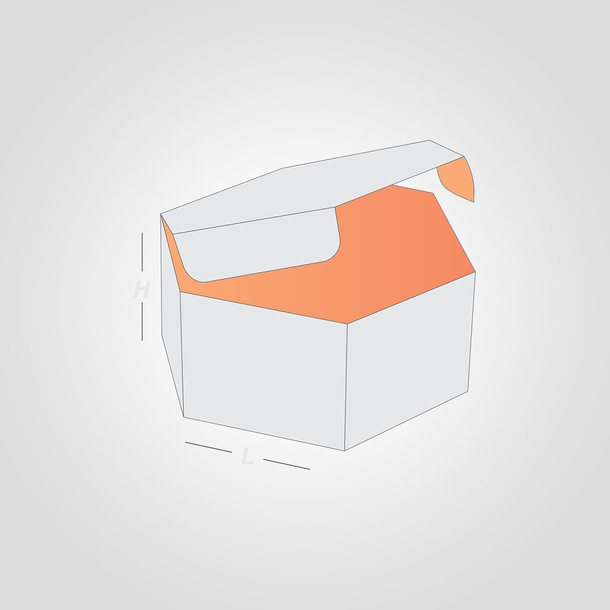 Custom Hexagon Boxes - Image 3