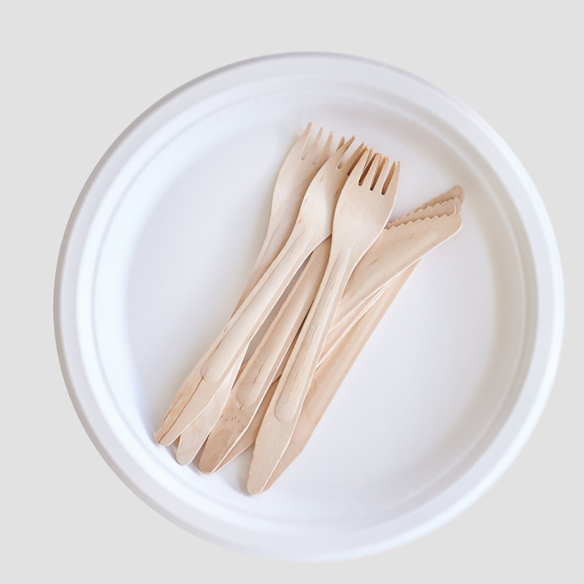 Custom Printed Takeaway Plates - Image 4